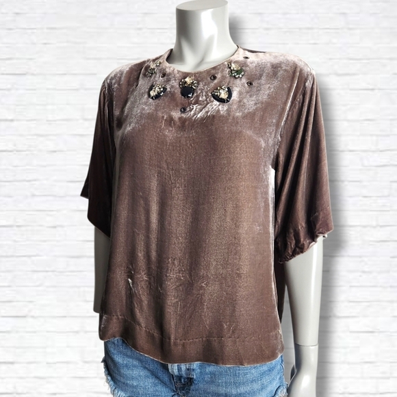 DOROTHEE SCHUMACHER Tops - Dorothee Schumacher Jewel Collar Brown Velvet Silk Short Sleeve Blouse Size M